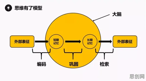 搞懂5个记忆科学原理，才能真正理解心理健康受关注