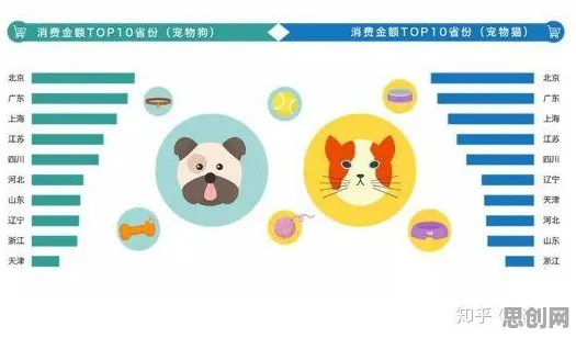 为什么宠物经济爆发会成为热点？物联网架构给出解释