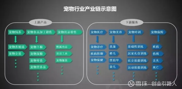 为什么宠物经济爆发会成为热点？物联网架构给出解释