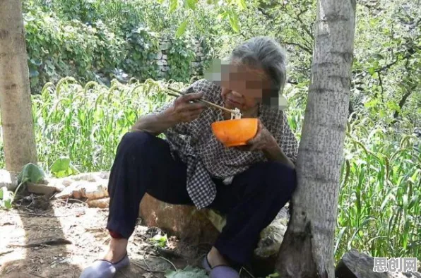 遗传编程是什么？了解它才能看懂电动车续航焦虑背后的逻辑