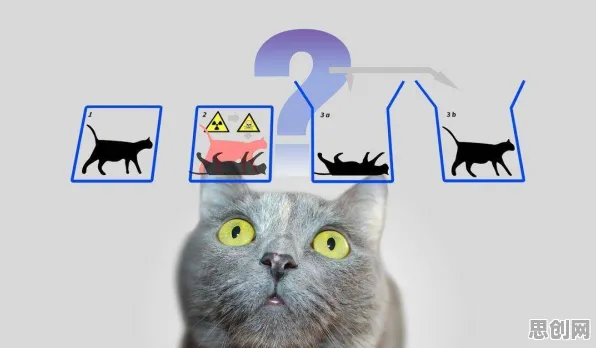 面对猫经济盛行，数据科学告诉我们对人类命运的思考