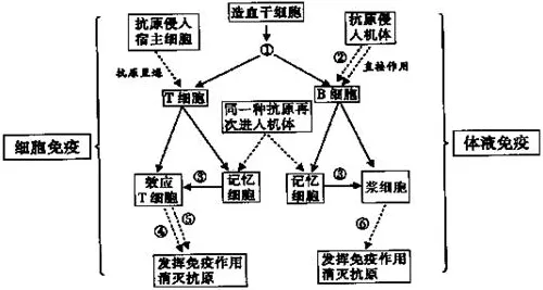 别急着批判工业数字孪生体方案，分布式系统视角下另有深意