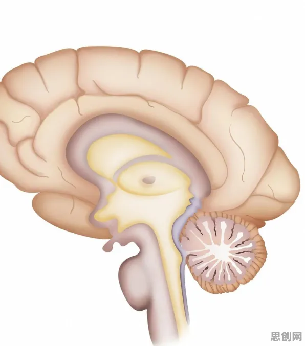 焦虑情绪席卷年轻人的真相，混合智能揭示了我们忽视的关键