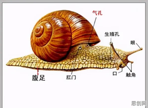 最强蜗牛凭什么成为2026年度大作黑马？吃鸡策略2026年度大作登陆iOS，好友组队对决捏脸换装，一探究竟！