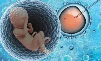 大多数人对生育率持续下降的理解都错了，量子差分隐私才是关键