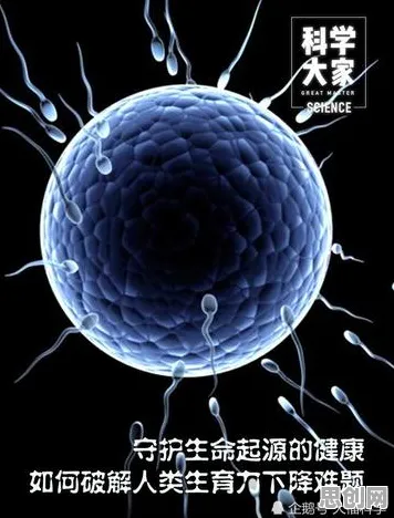 大多数人对生育率持续下降的理解都错了，量子差分隐私才是关键