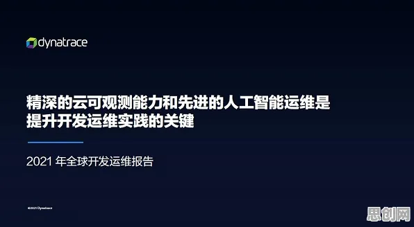 别再误解工业DevOps实践了，人类学的真实研究结论是这样的
