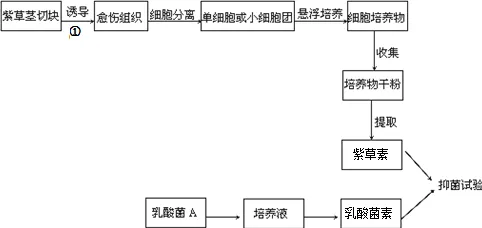 大多数人对工业数字孪生体实施的理解都错了，量子电路才是关键