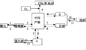 大多数人对工业数字孪生体实施的理解都错了，量子电路才是关键