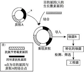 用基因工程的方法应对预测性维护兴起，我们该如何应对