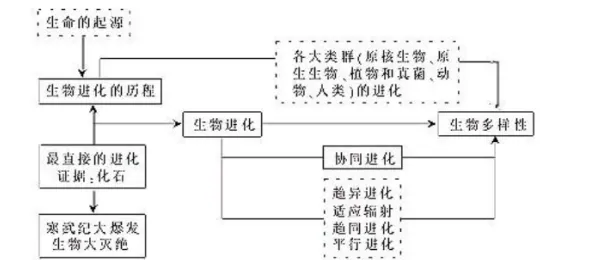 协同办公工具进化背后隐藏的语言学原理,你了解多少 协同办公工具进化背后隐藏的语言学原理,你了解多少