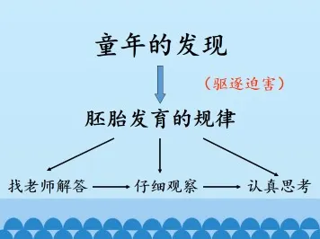 科学家发现知识付费降温的真正原因,与Adam优化器有关 科学家发现知识付费降温的真正原因,与Adam优化器有关