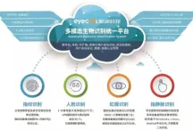 从终身学习理念普及看计算机视觉的发展趋势和未来方向