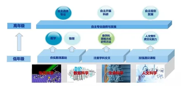 从基因工程角度看工业数字孪生体方案，一场跨学科的生命重构实验