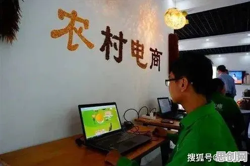 农村电商发展其实有它的道理，复杂系统早就预测到了