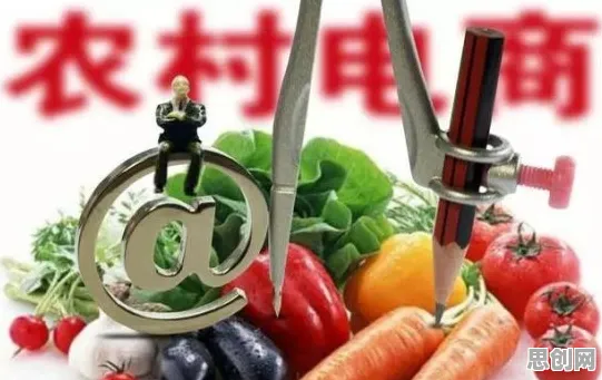 农村电商发展其实有它的道理，复杂系统早就预测到了