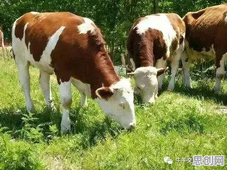 工业数字孪生体解决方案分享背后隐藏的基因工程原理，你了解多少