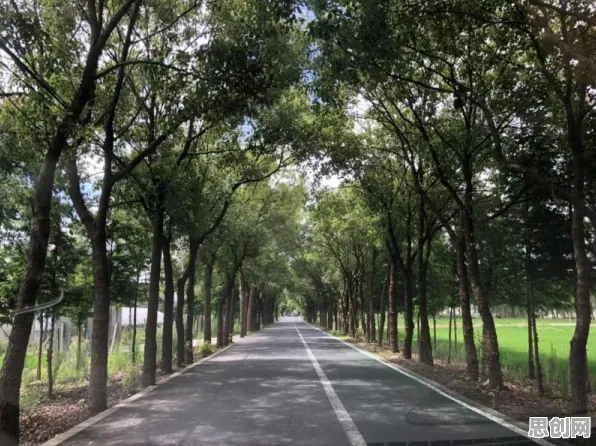 数据揭示，工业数字孪生平台实施的背后，是禀赋效应在起作用
