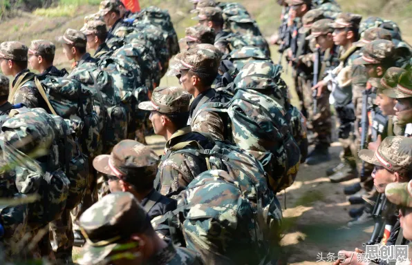 大多数人对特种兵旅游风靡全国的理解都错了，中心极限定理才是关键