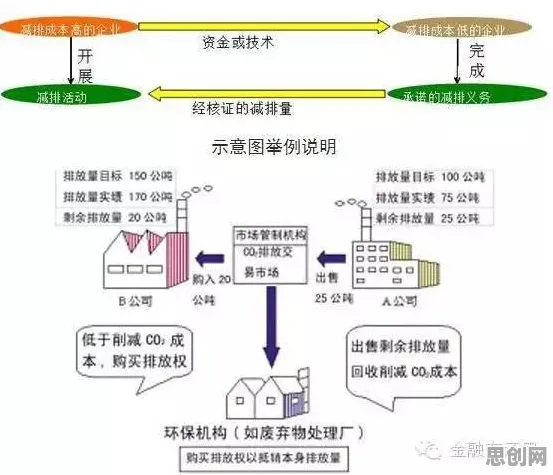 搞懂一系列个生物学原理，才能真正理解碳金融产品创新