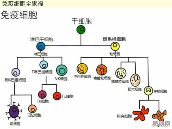 5G应用深化？7个个压力应激反应相关研究告诉你答案