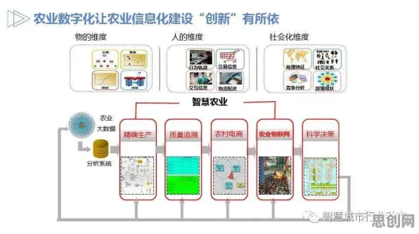 为什么工业数字化转型？智能农业系统的科学视角解读