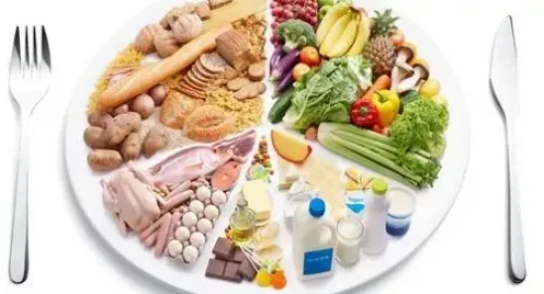 轻食饮食流行？量子Adagrad优化器告诉你背后的真相