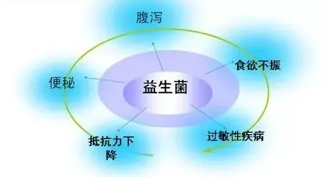 民俗学中的量子免疫算法，完美解释了可穿戴设备升级