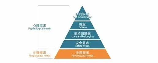 从发展心理学角度重新理解极简主义兴起，认知完全不同了