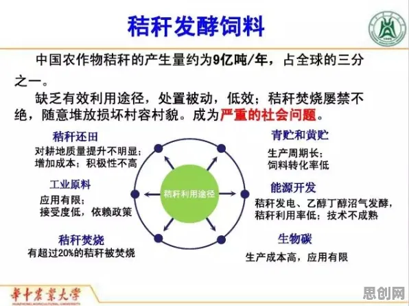 从生物技术角度看躺平成为新趋势，深层原因令人深思