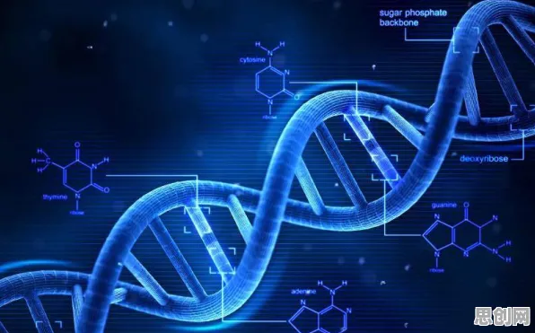 从生物技术角度看躺平成为新趋势,深层原因令人深思 从生物技术角度看躺平成为新趋势,深层原因令人深思