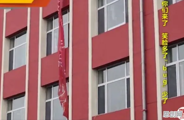 别再误解无代码工具兴起了，计算机科学的真实研究结论是这样的