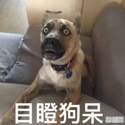 关于狗经济火热的讨论持续升温，量子蜜蜂算法提供新视角