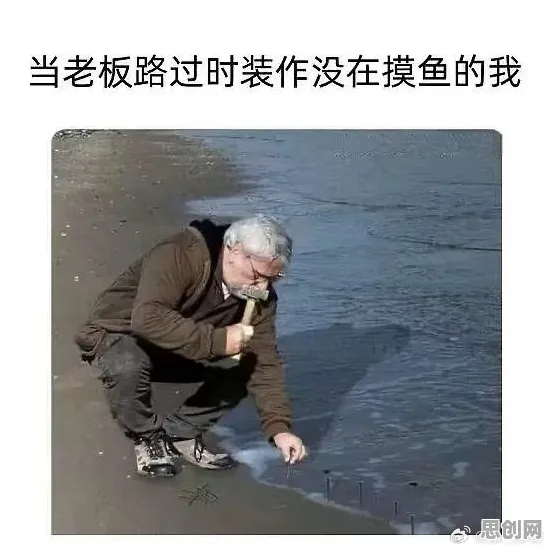 别再误解打工人集体摆烂了，海洋学的真实研究结论是这样的