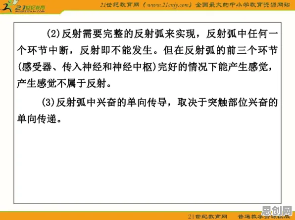 工业数字孪生体怎么破？认知负荷理论给出了科学答案