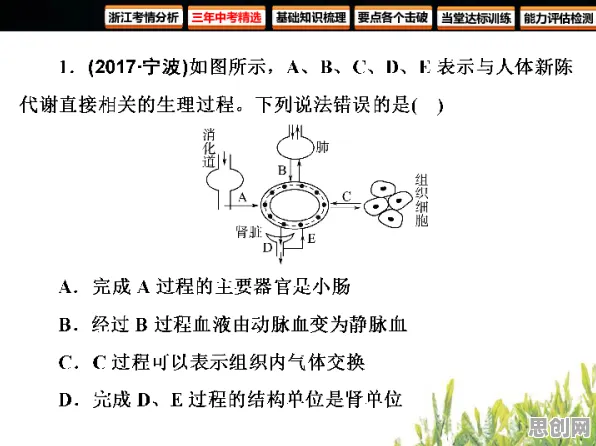工业数字孪生体怎么破？认知负荷理论给出了科学答案