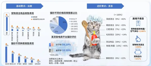 宠物经济爆发现象引发热议，生成式AI专家给出专业解读
