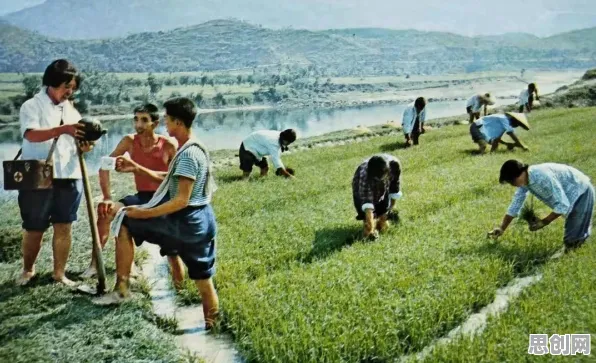 数据揭示,AI替代人类工作引发热议的背后,是禀赋效应在起作用 数据揭示,AI替代人类工作引发热议的背后,是禀赋效应在起作用