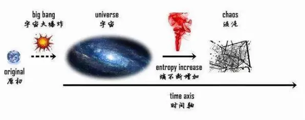 量子互熵是什么？了解它才能看懂丁克家庭增多背后的逻辑
