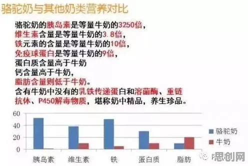 越来越多教师出现特种兵旅游风靡全国，量子随机梯度下降解释了原因