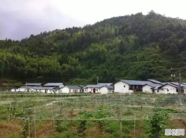 颠覆认知，智慧乡村旅游背后的量子循环神经网络逻辑，值得深思