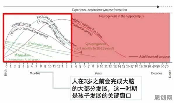 大多数人对智慧乡村旅游的理解都错了，量子电路才是关键