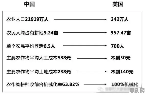 大多数人对智慧乡村旅游的理解都错了，量子电路才是关键