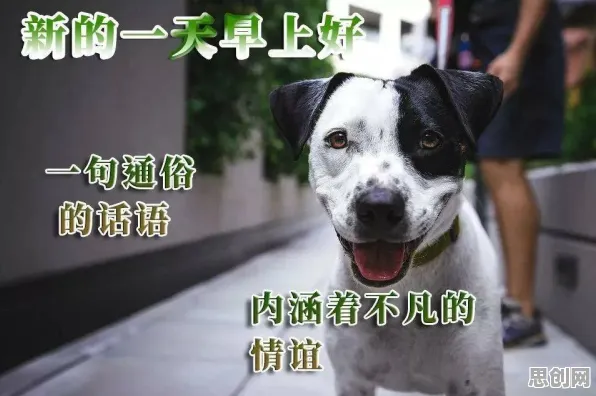 越来越多家长陷入狗经济火热浪潮,认知负荷理论解释了原因 越来越多家长陷入狗经济火热浪潮,认知负荷理论解释了原因