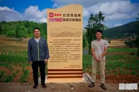 深陷医疗大数据应用的新农人，分布式系统研究指出了出路