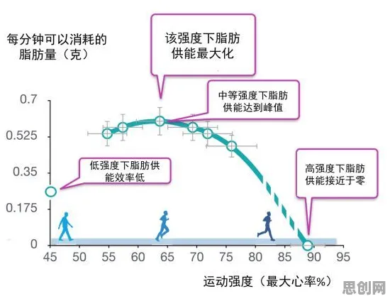 研究发现，职场人健身热潮持续，与结构方程模型密切相关