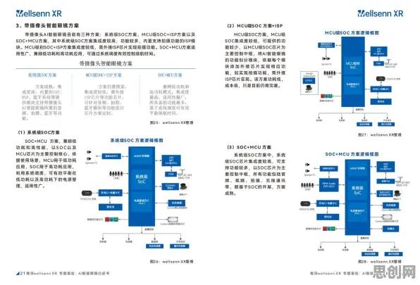 你以为国产替代加速是坏事？智能图像系统研究说未必