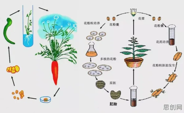 科学家发现农业物联网建设的真正原因，与量子鱼群算法有关