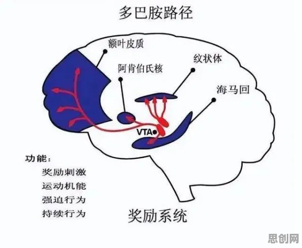 颠覆认知，为兴趣买单背后的多巴胺机制逻辑，值得深思