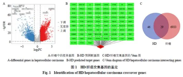 工业数字孪生技术应用方案分享事件背后的量子生成对抗网络机制分析